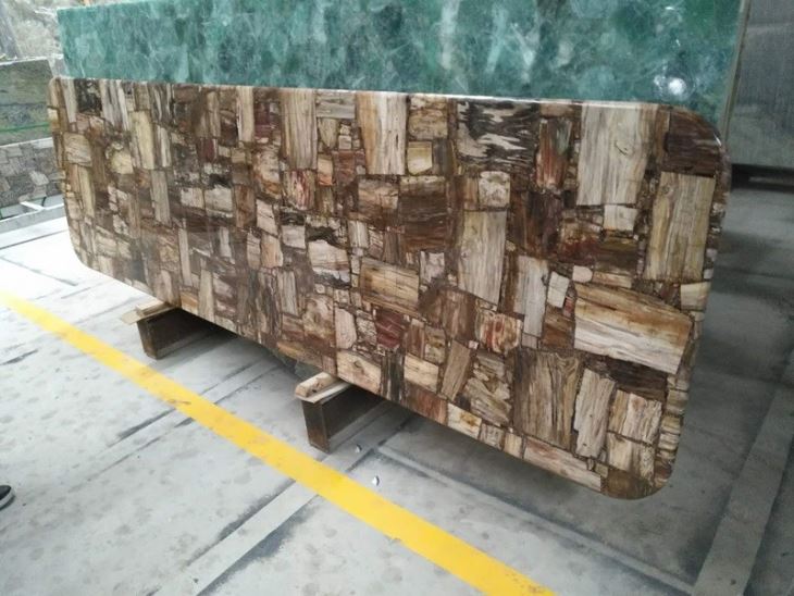 Natural Petrified Wood Agate Gemstone Slab Natural Petrified Wood Agate Gemstone Slab